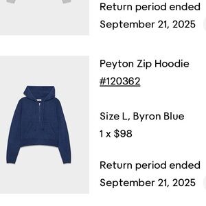 Aritzia Peyton Zip Hoodie - blue